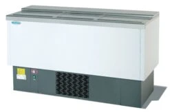Infrico EFP1500EG Chest Cooler