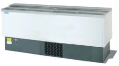 Infrico EFP2000EG Chest Cooler